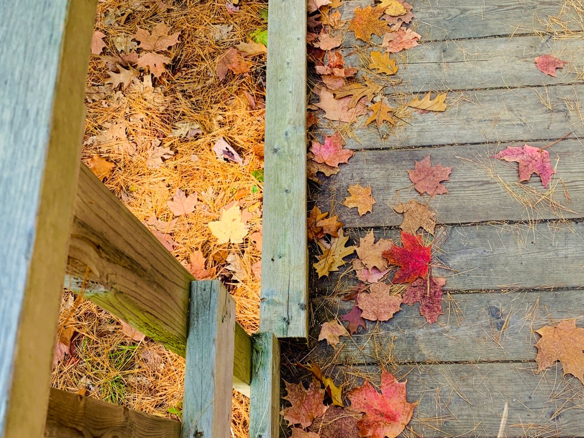 Self image issues in young&nbsp;women