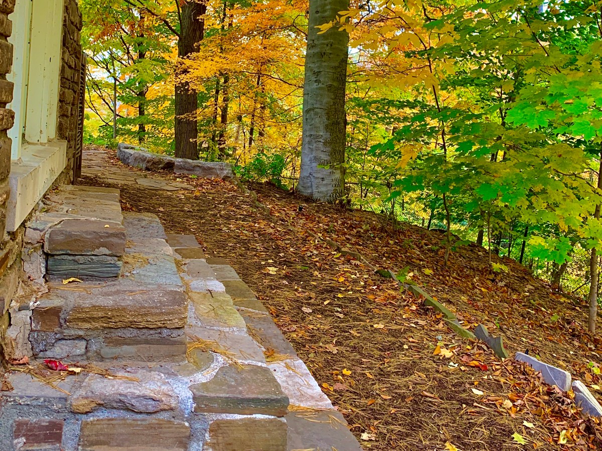 Hypervigilance – a protective&nbsp;part