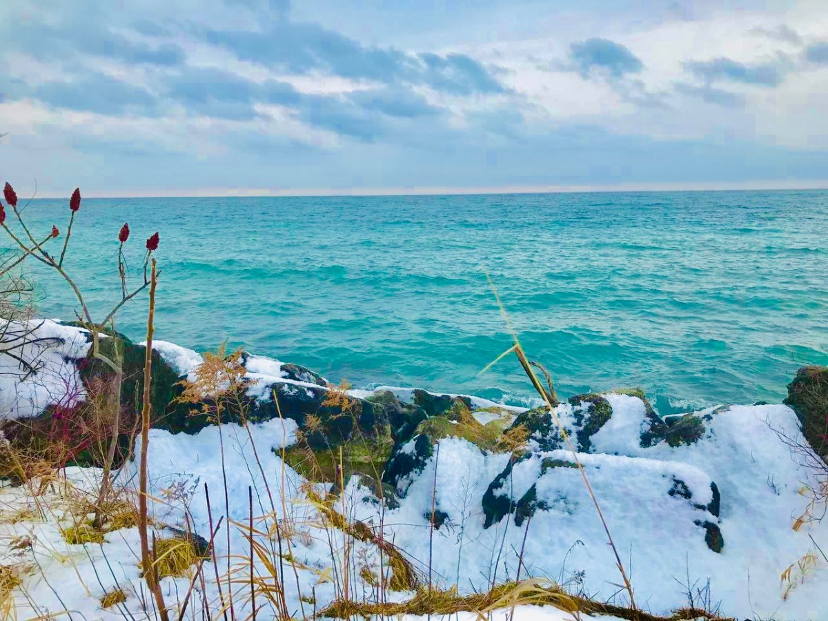 Intimate Partner Violence