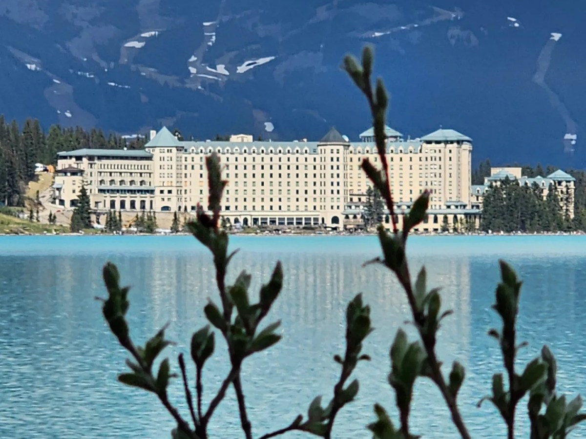 Would you like to feel safety&nbsp;within?